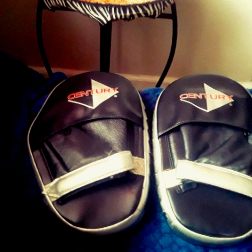 Boxing Focus mitts
